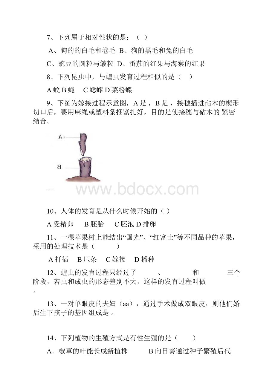 八年级下 复习测试题.docx_第2页