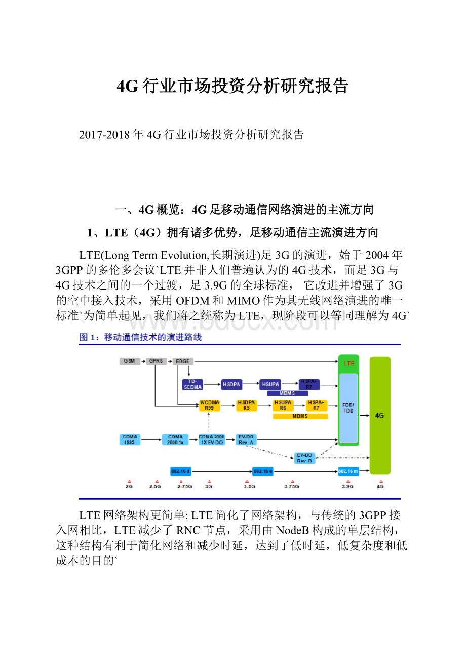 4G行业市场投资分析研究报告.docx_第1页