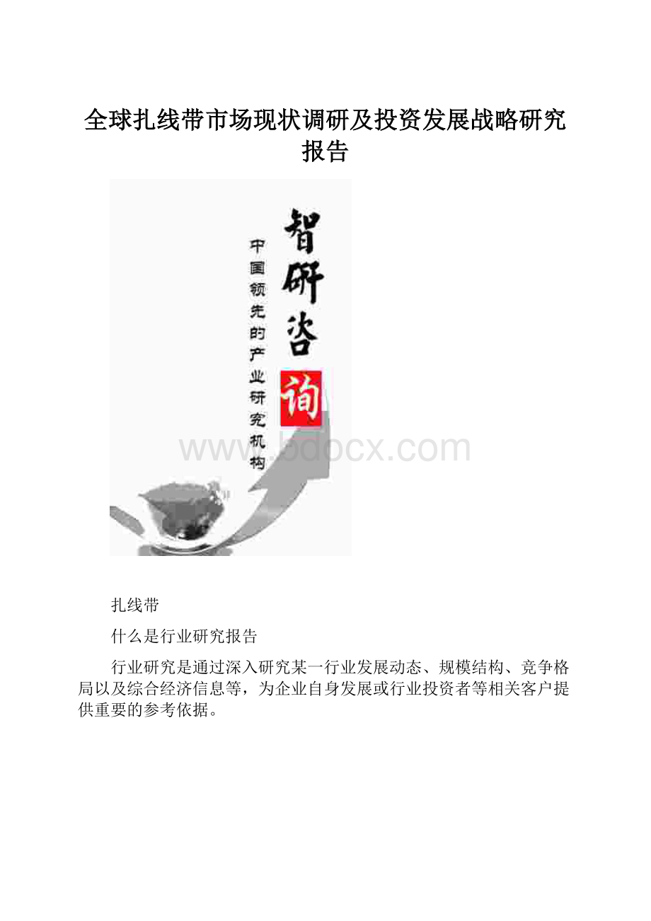 全球扎线带市场现状调研及投资发展战略研究报告.docx_第1页