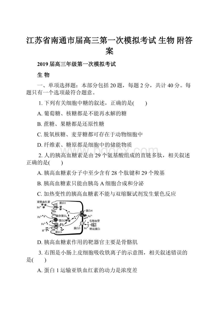 江苏省南通市届高三第一次模拟考试 生物 附答案.docx