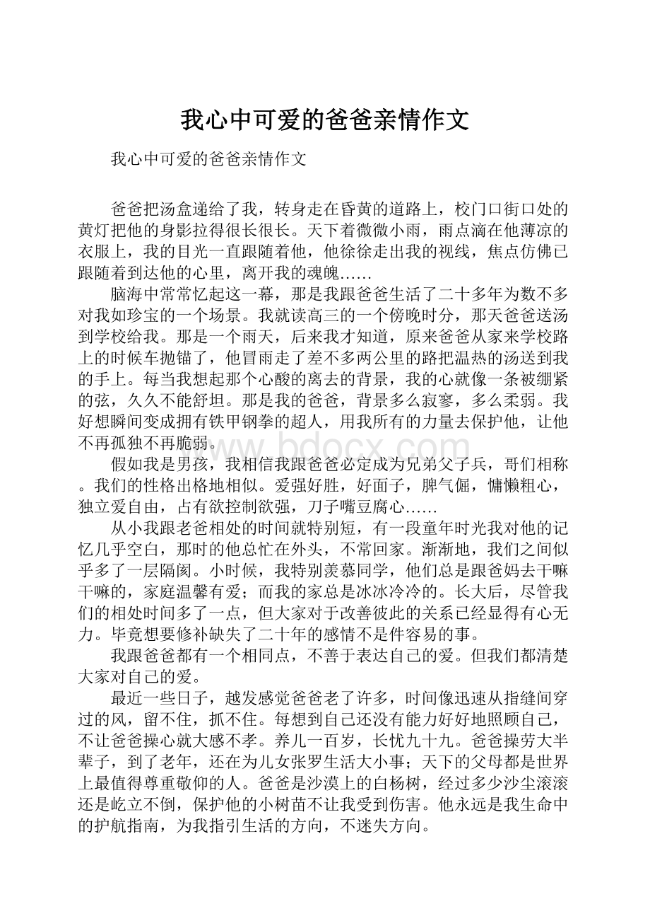 我心中可爱的爸爸亲情作文.docx