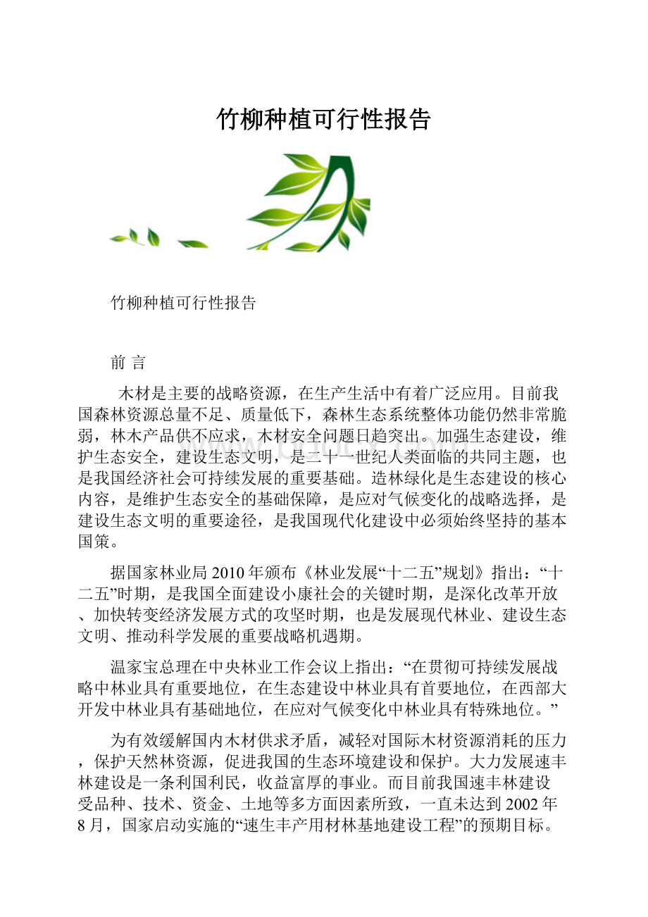 竹柳种植可行性报告.docx_第1页