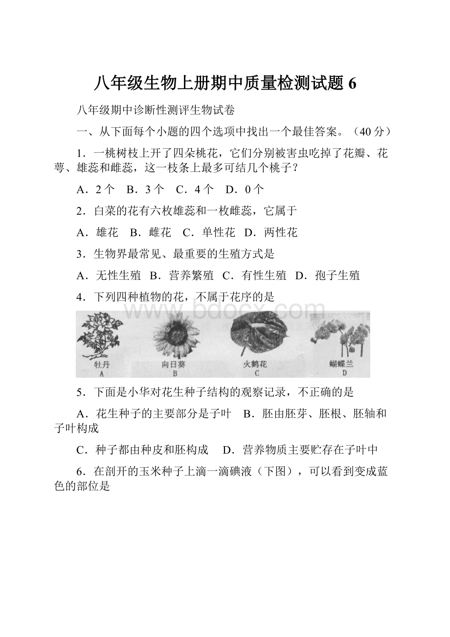 八年级生物上册期中质量检测试题6.docx_第1页