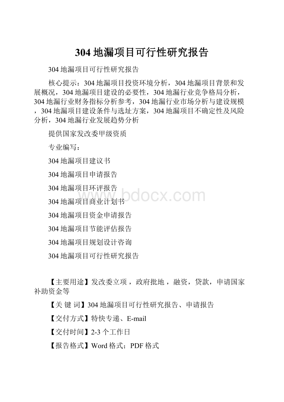 304地漏项目可行性研究报告.docx_第1页