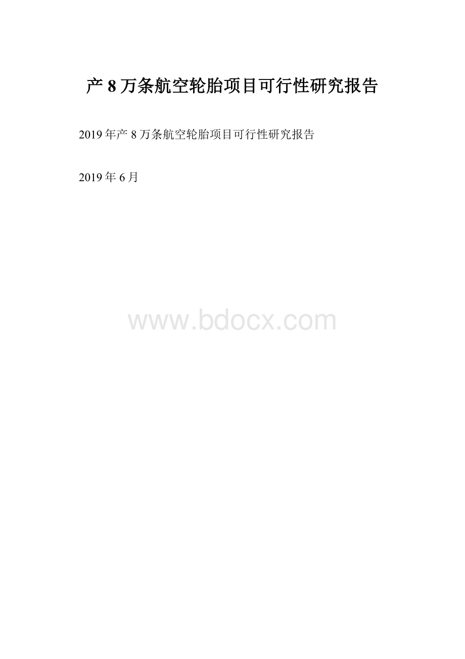 产8万条航空轮胎项目可行性研究报告.docx