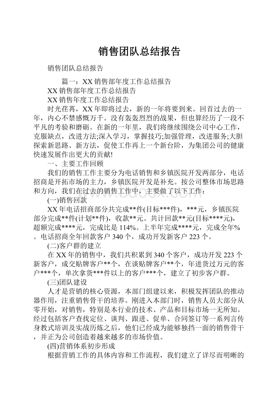 销售团队总结报告.docx_第1页