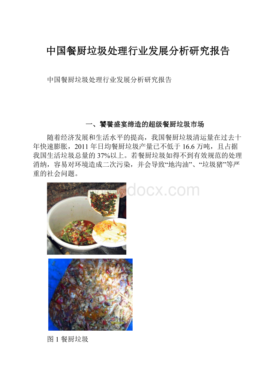 中国餐厨垃圾处理行业发展分析研究报告.docx