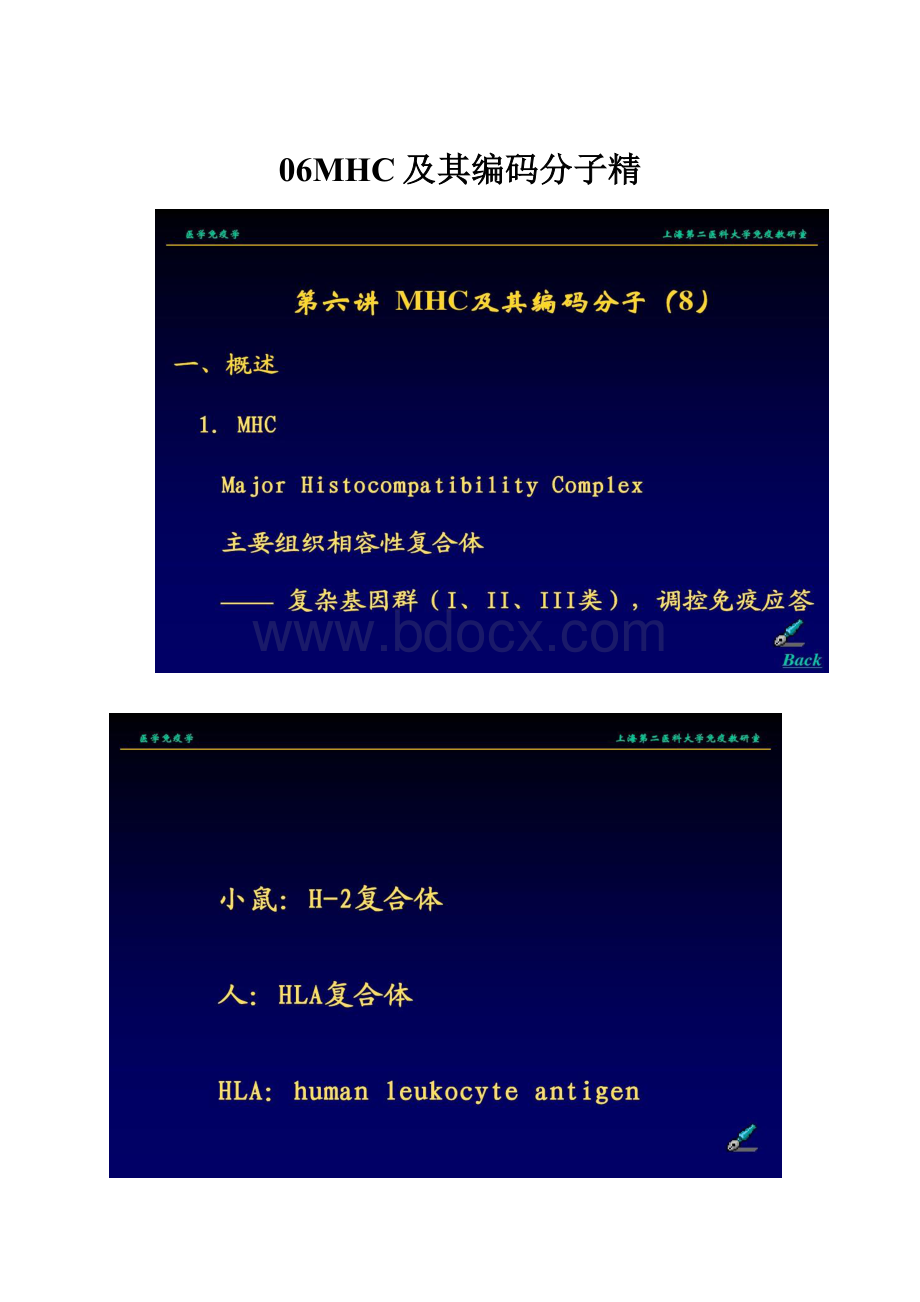 06MHC及其编码分子精.docx