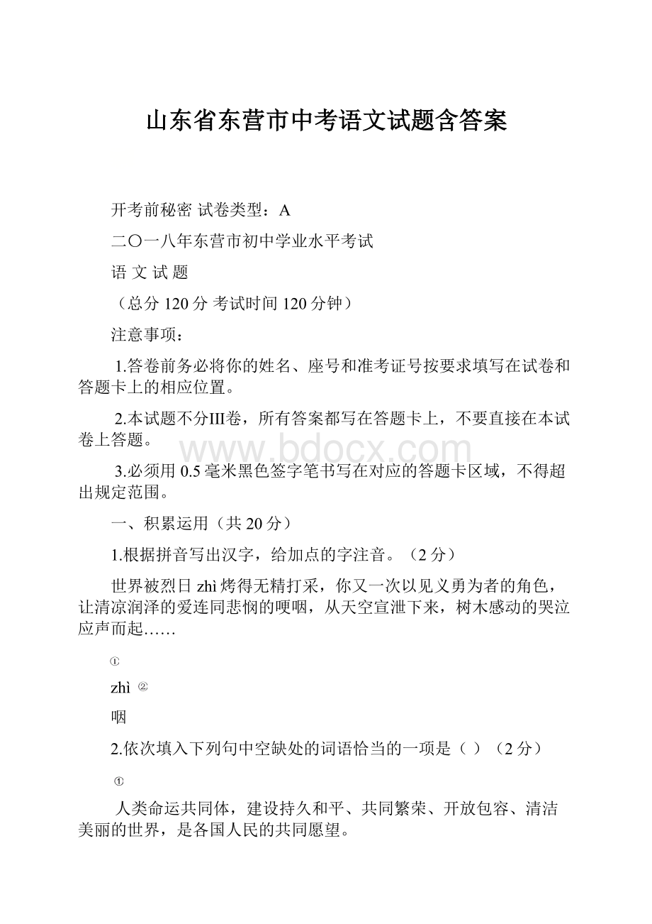 山东省东营市中考语文试题含答案.docx