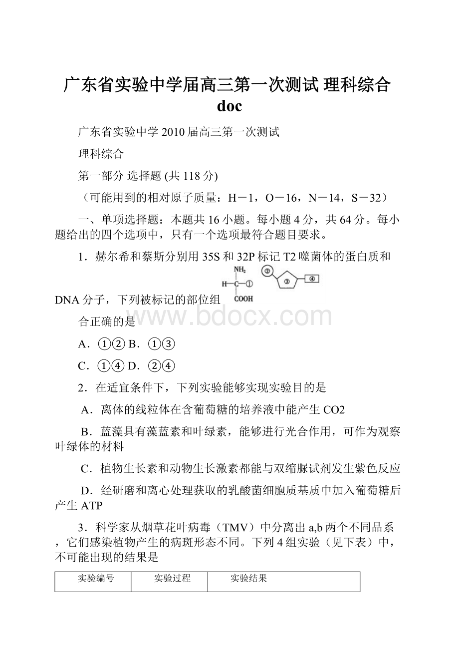 广东省实验中学届高三第一次测试理科综合doc.docx_第1页