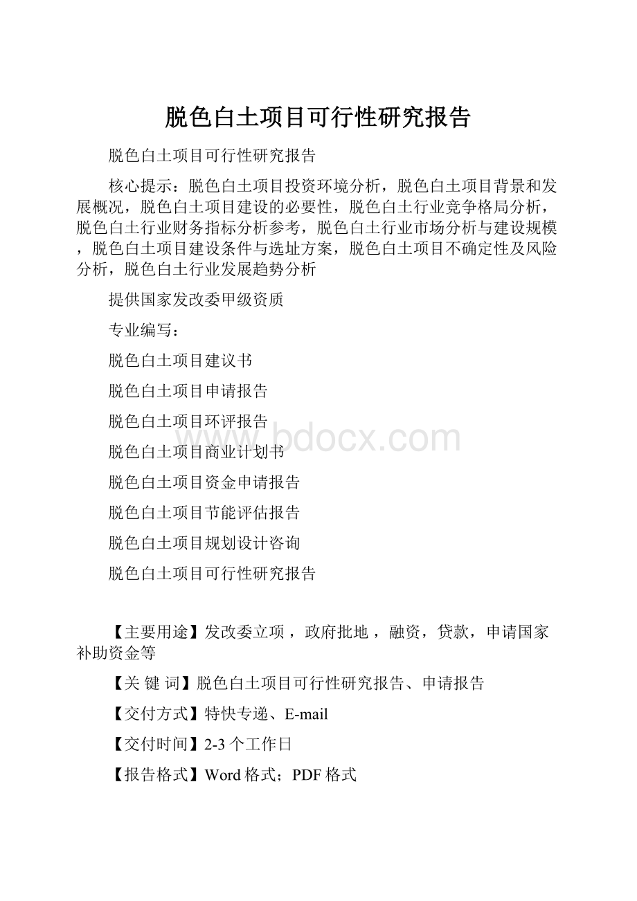 脱色白土项目可行性研究报告.docx