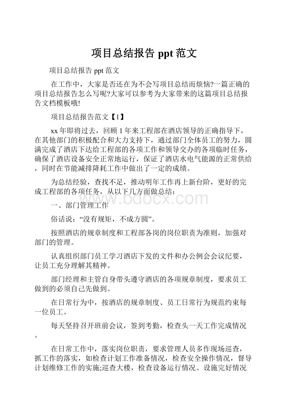 项目总结报告ppt范文.docx_第1页