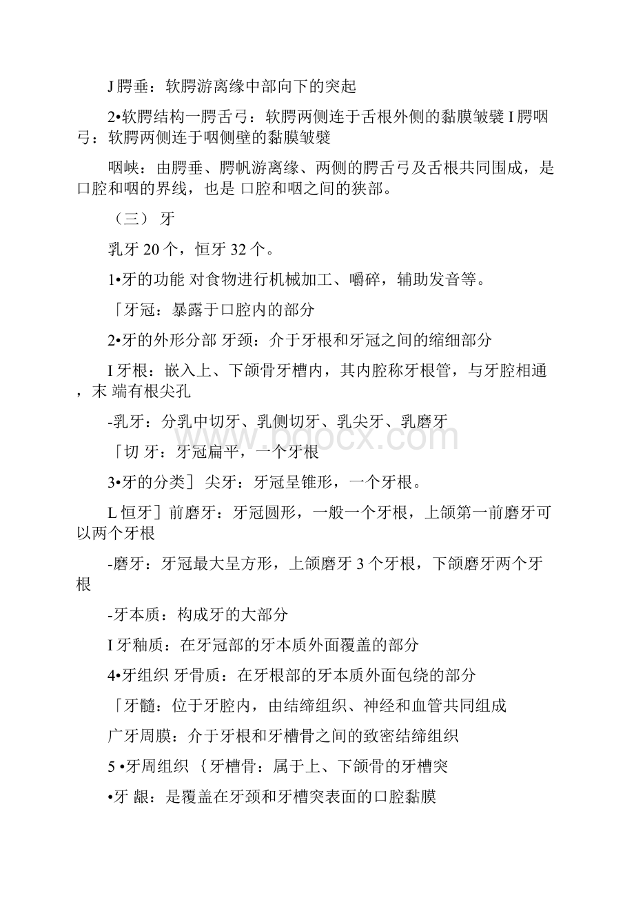 人体解剖学学习指导.docx_第3页