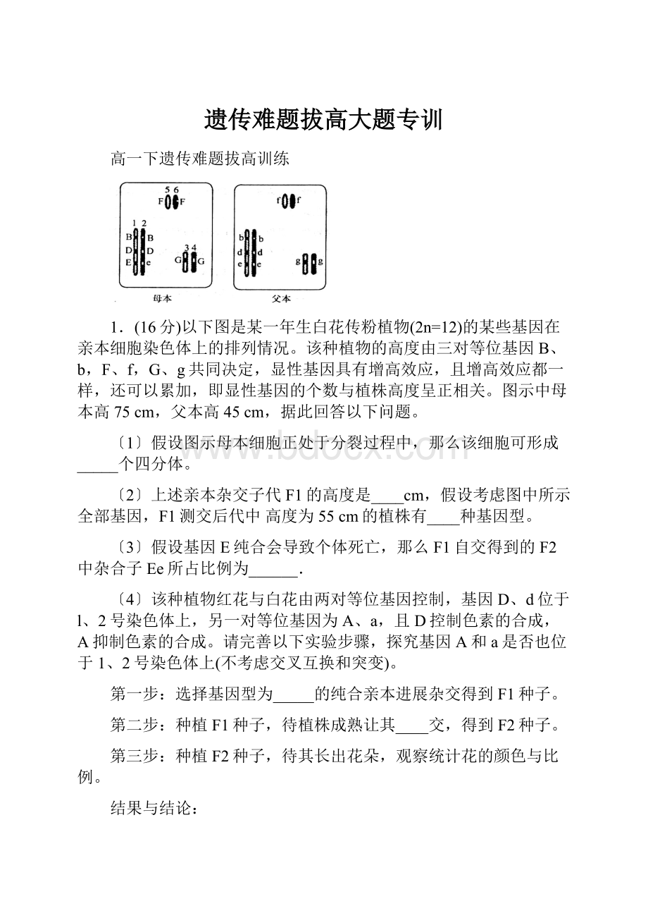 遗传难题拔高大题专训.docx