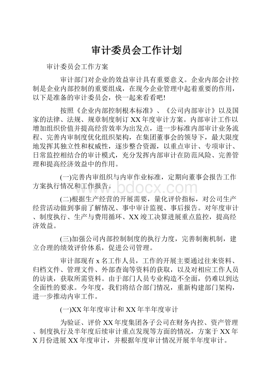 审计委员会工作计划.docx_第1页