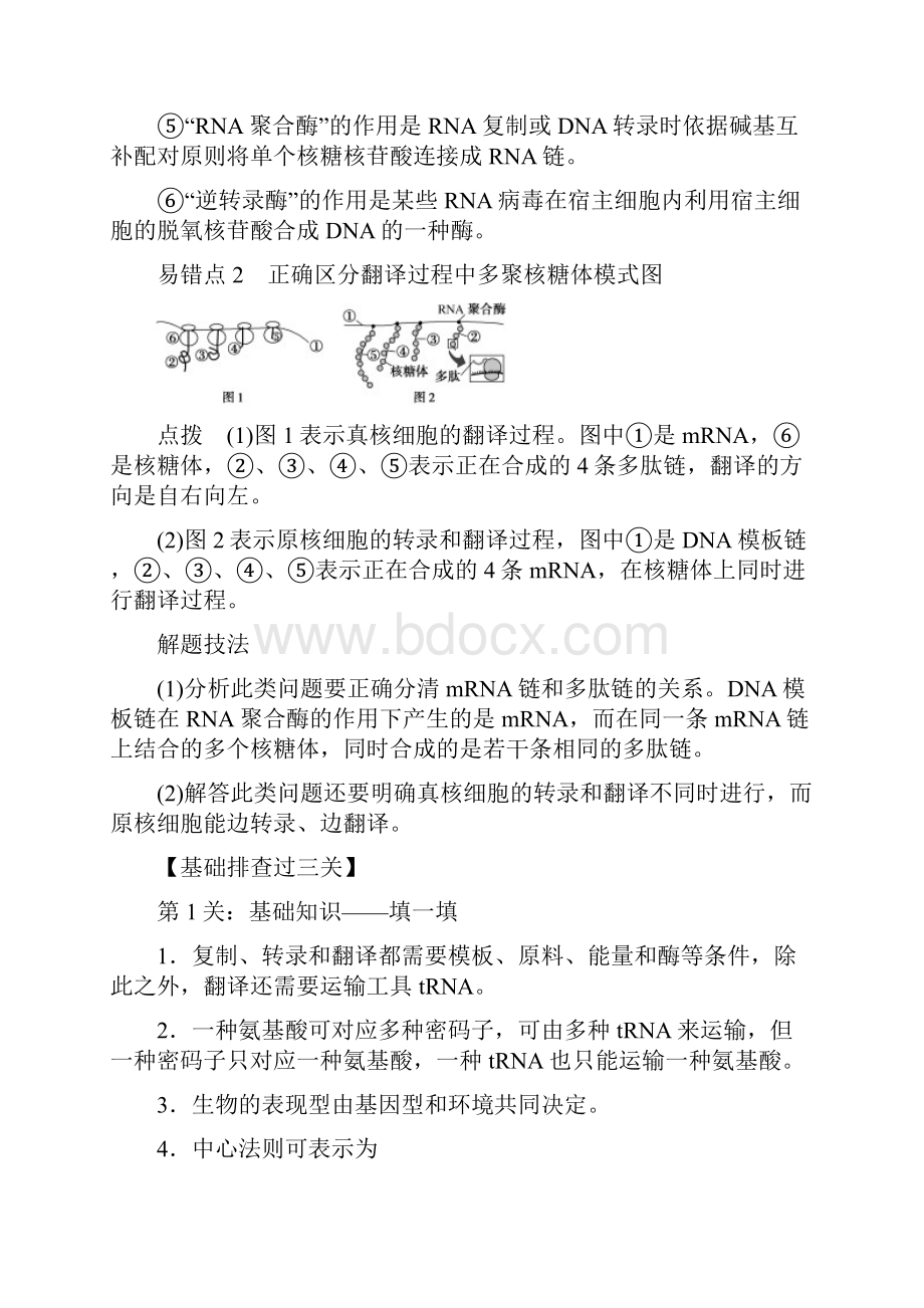 新教材高中生物 第4章 基因的表达单元排查强化 新人教版第二册.docx_第3页