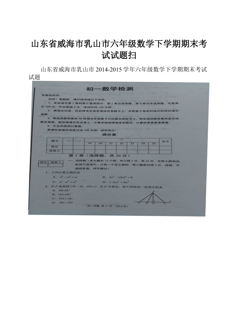 山东省威海市乳山市六年级数学下学期期末考试试题扫.docx