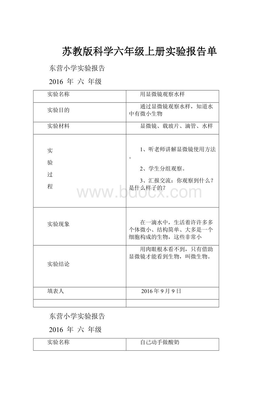 苏教版科学六年级上册实验报告单.docx