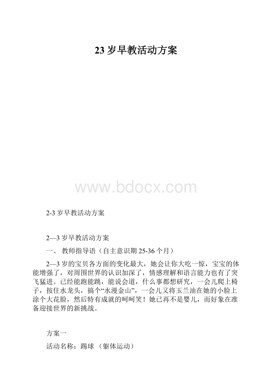 23岁早教活动方案.docx_第1页