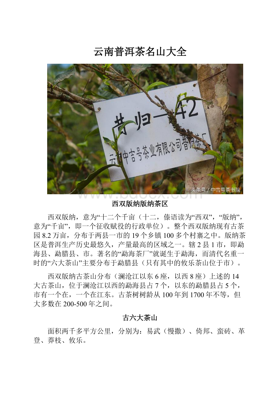 云南普洱茶名山大全.docx_第1页