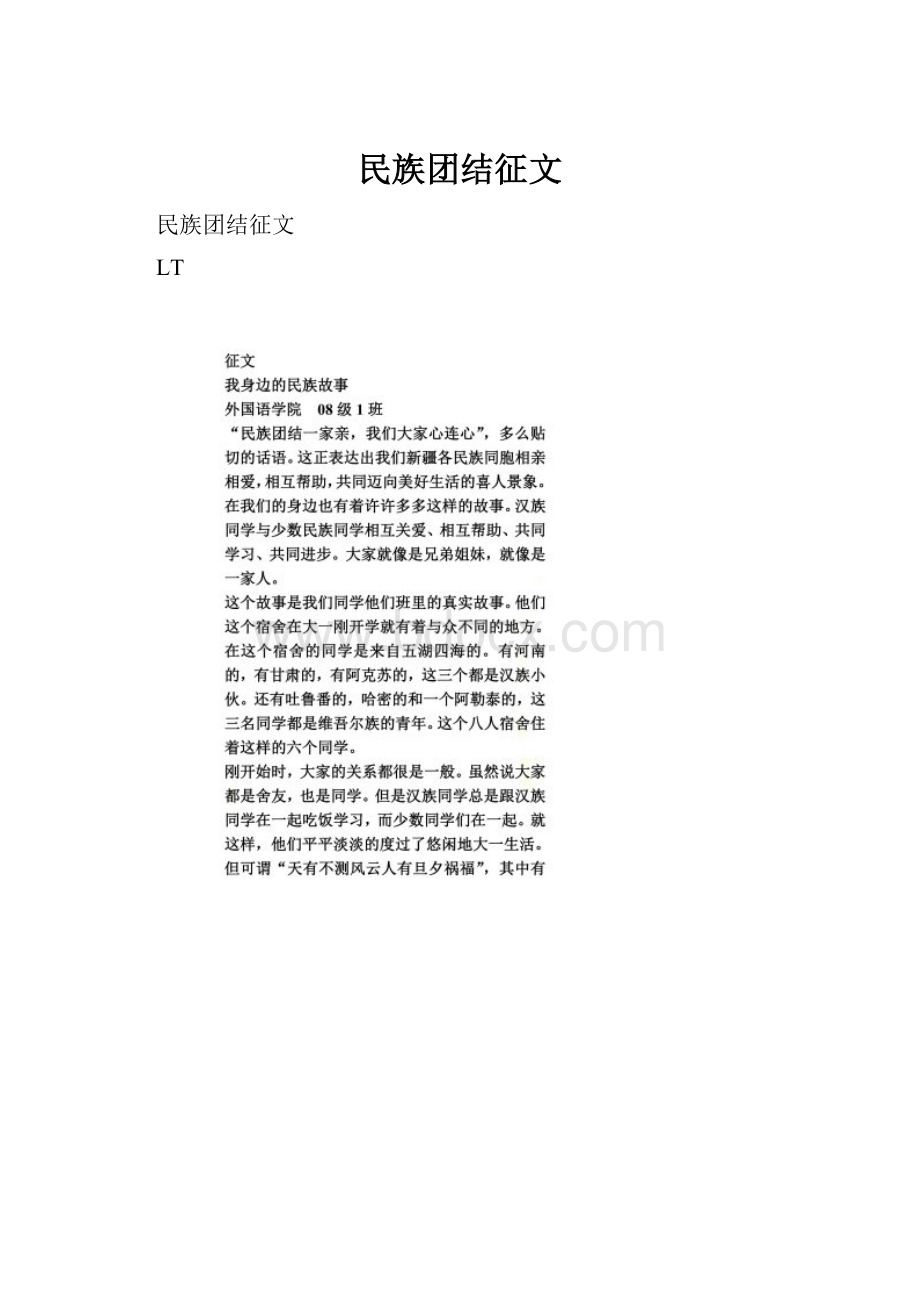 民族团结征文.docx