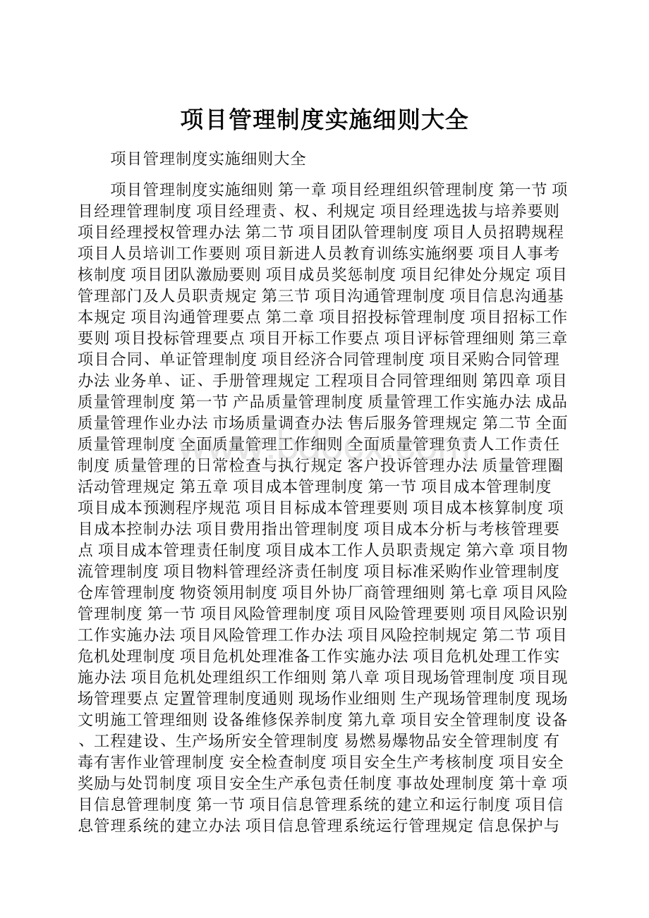 项目管理制度实施细则大全.docx