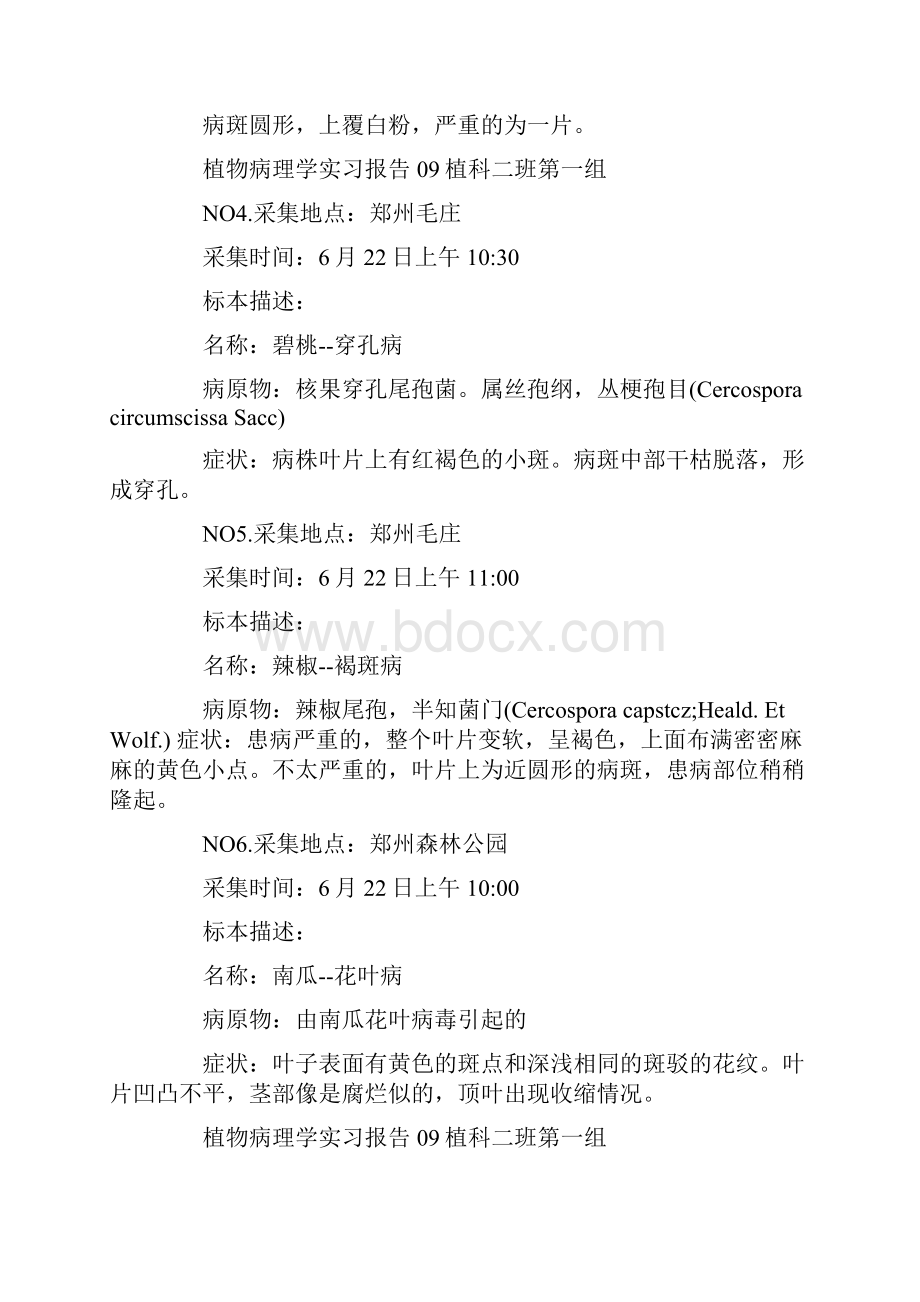 关于病理实习心得.docx_第2页