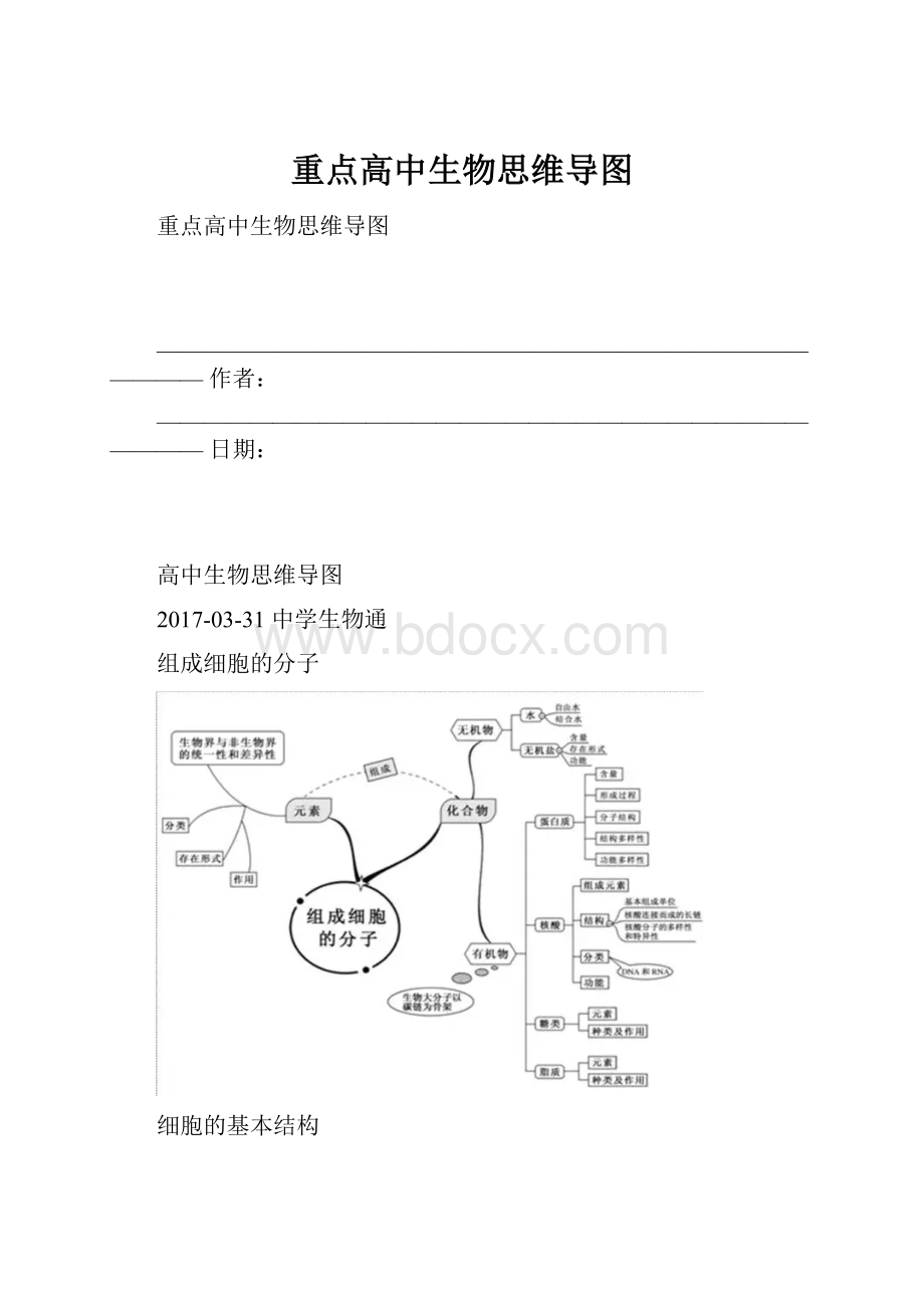 重点高中生物思维导图.docx