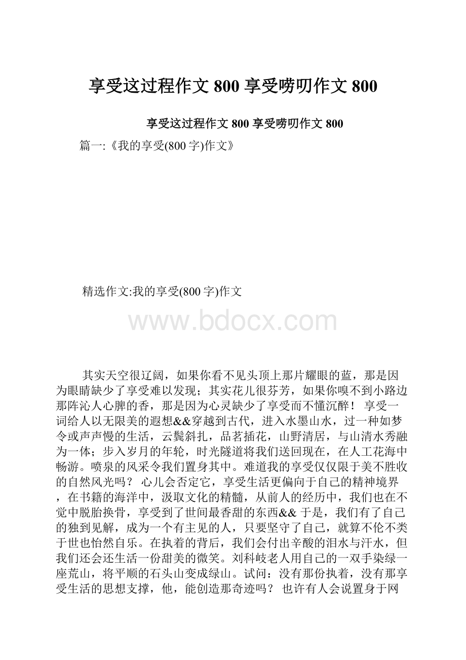 享受这过程作文800 享受唠叨作文800.docx