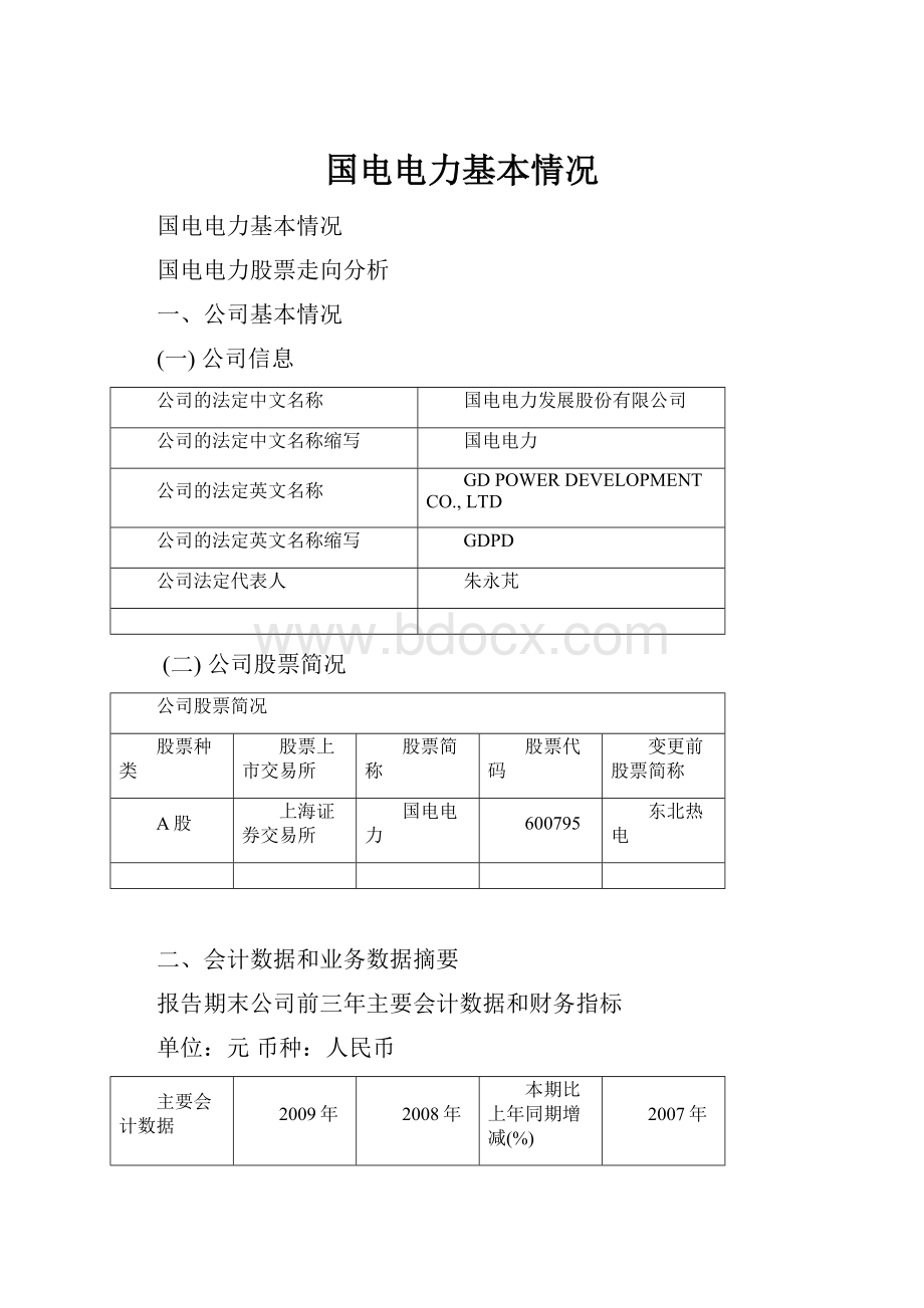 国电电力基本情况.docx