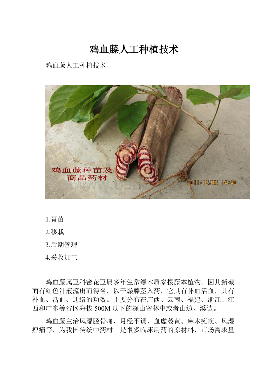 鸡血藤人工种植技术.docx