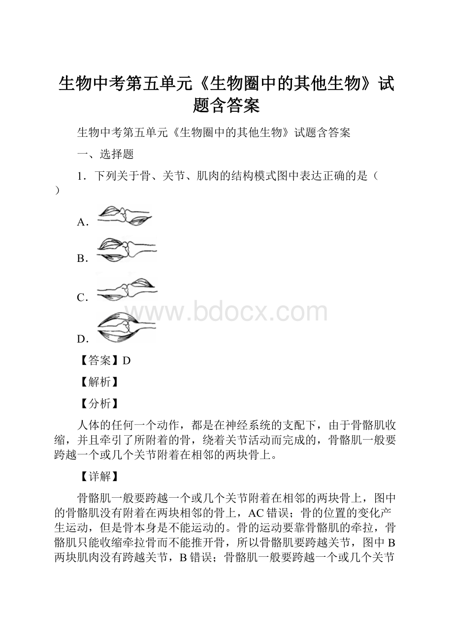 生物中考第五单元《生物圈中的其他生物》试题含答案.docx