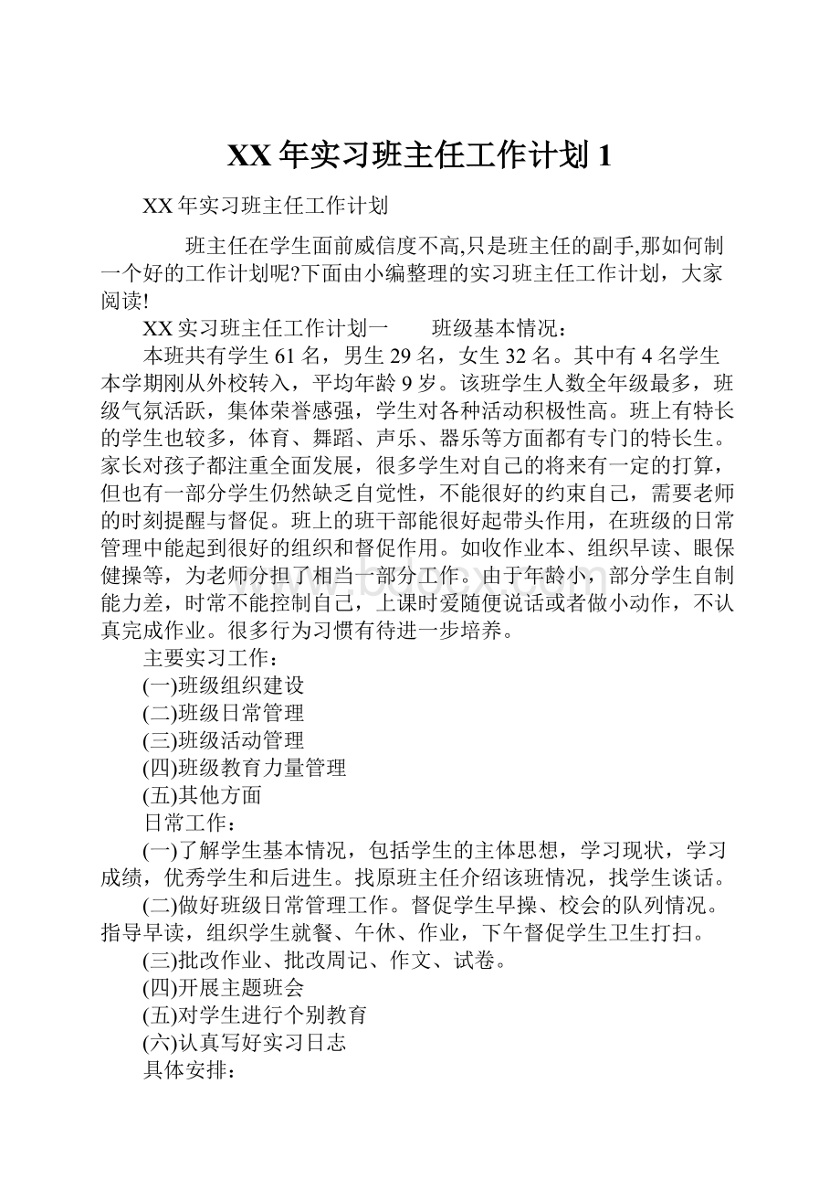 XX年实习班主任工作计划1.docx