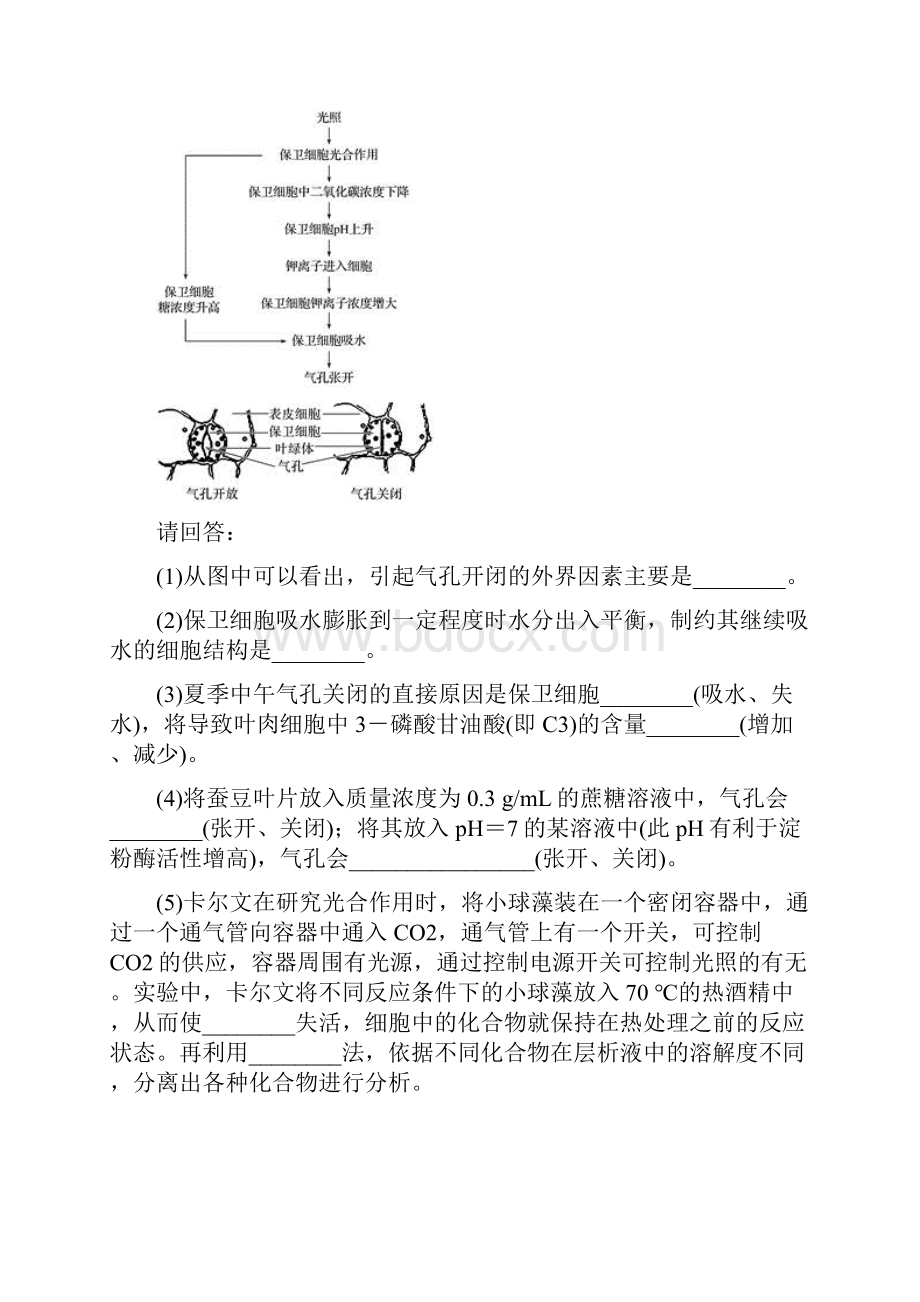 届高三生物复习检测卷七.docx_第3页