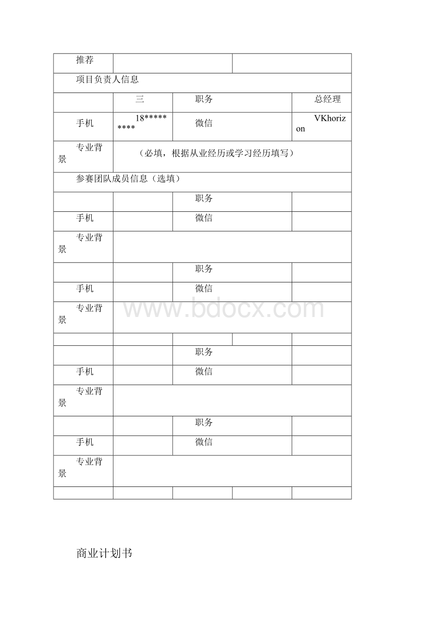 商业实施计划书模板.docx_第2页