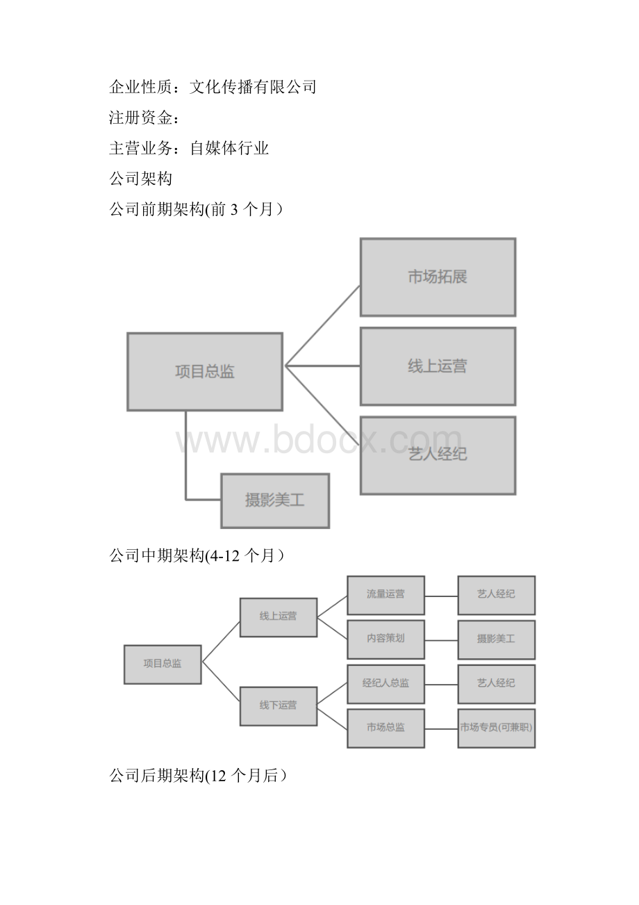 自媒体创业计划书.docx_第3页