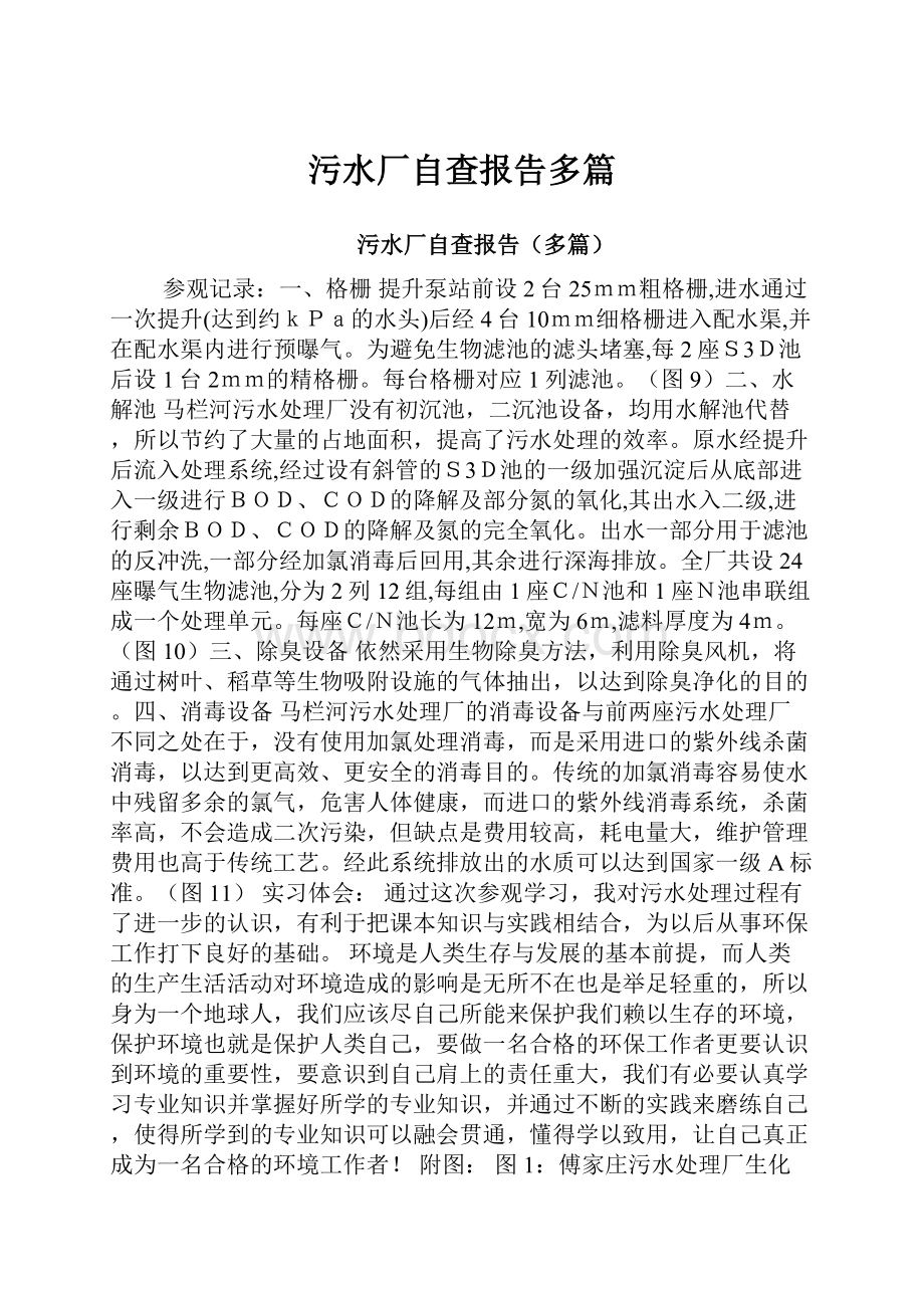 污水厂自查报告多篇.docx