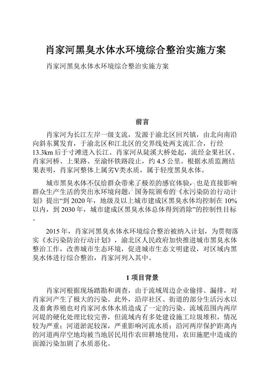 肖家河黑臭水体水环境综合整治实施方案.docx