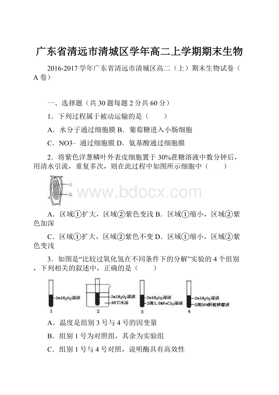 广东省清远市清城区学年高二上学期期末生物.docx_第1页