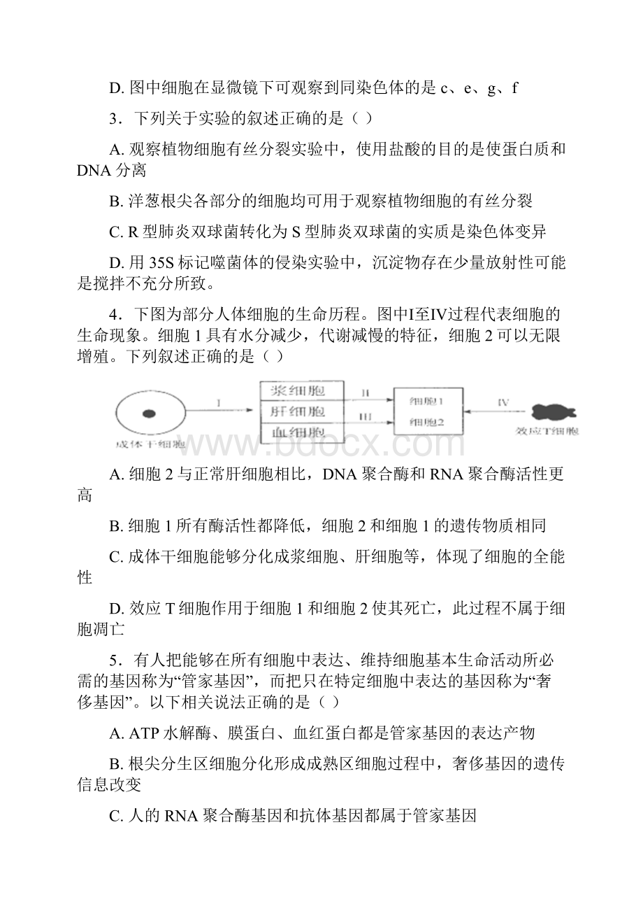 江西省南昌市学年高一下学期期末考试生物试题含答案精选.docx_第2页