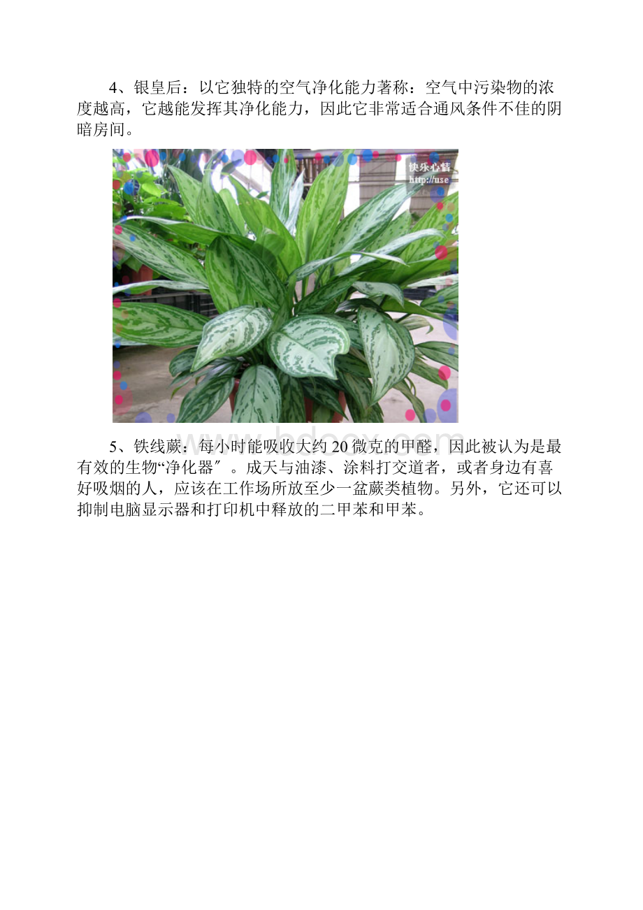 对人体有益的植物17种.docx_第3页