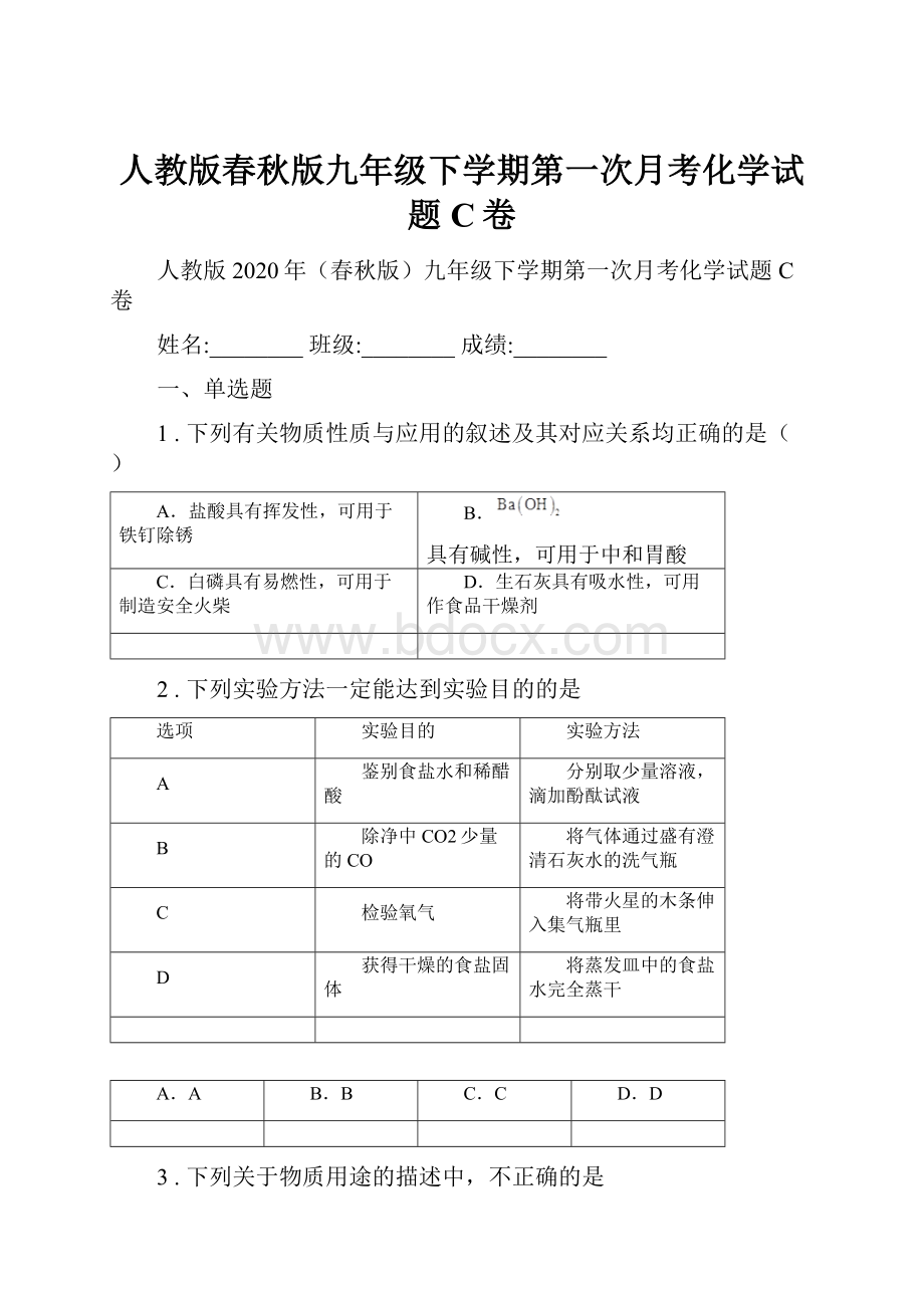 人教版春秋版九年级下学期第一次月考化学试题C卷.docx