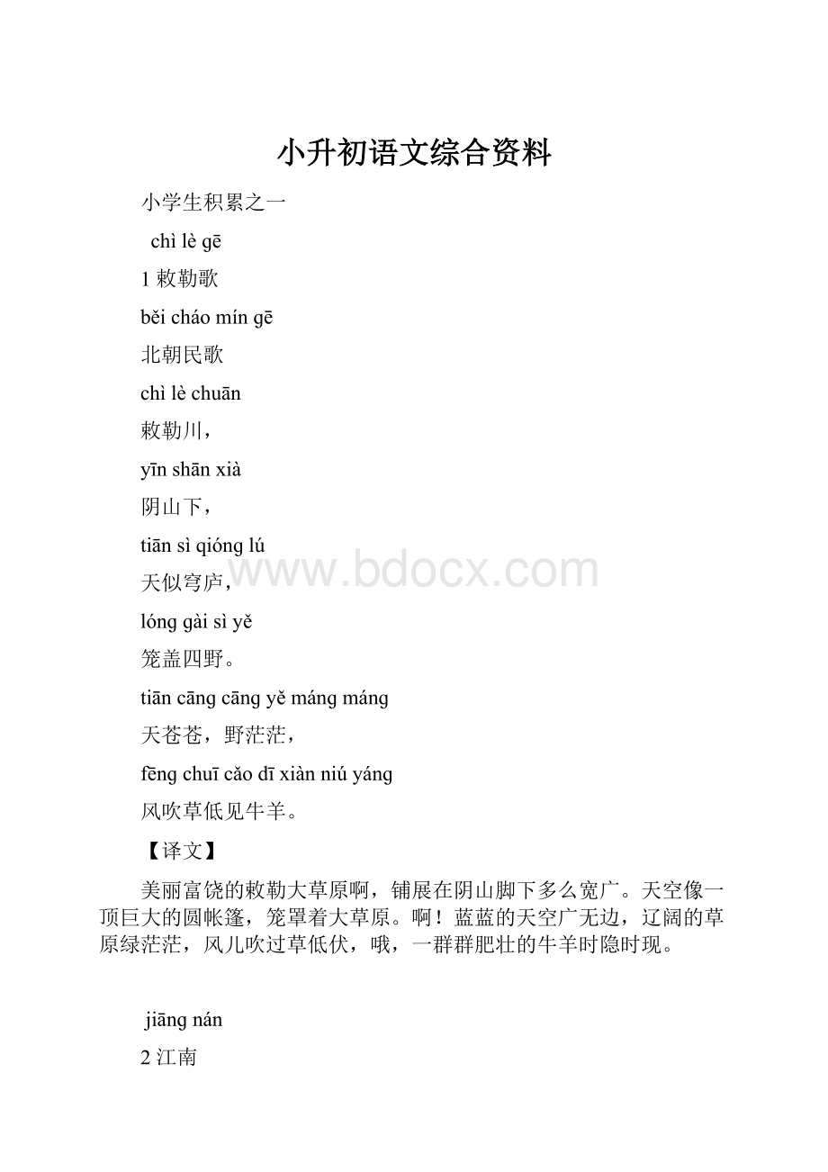 小升初语文综合资料.docx