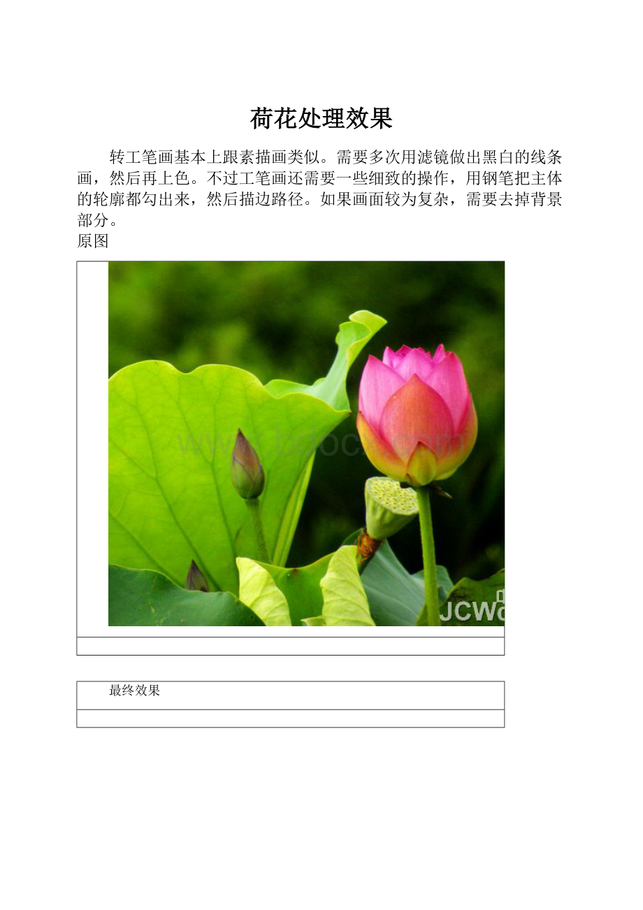 荷花处理效果.docx_第1页