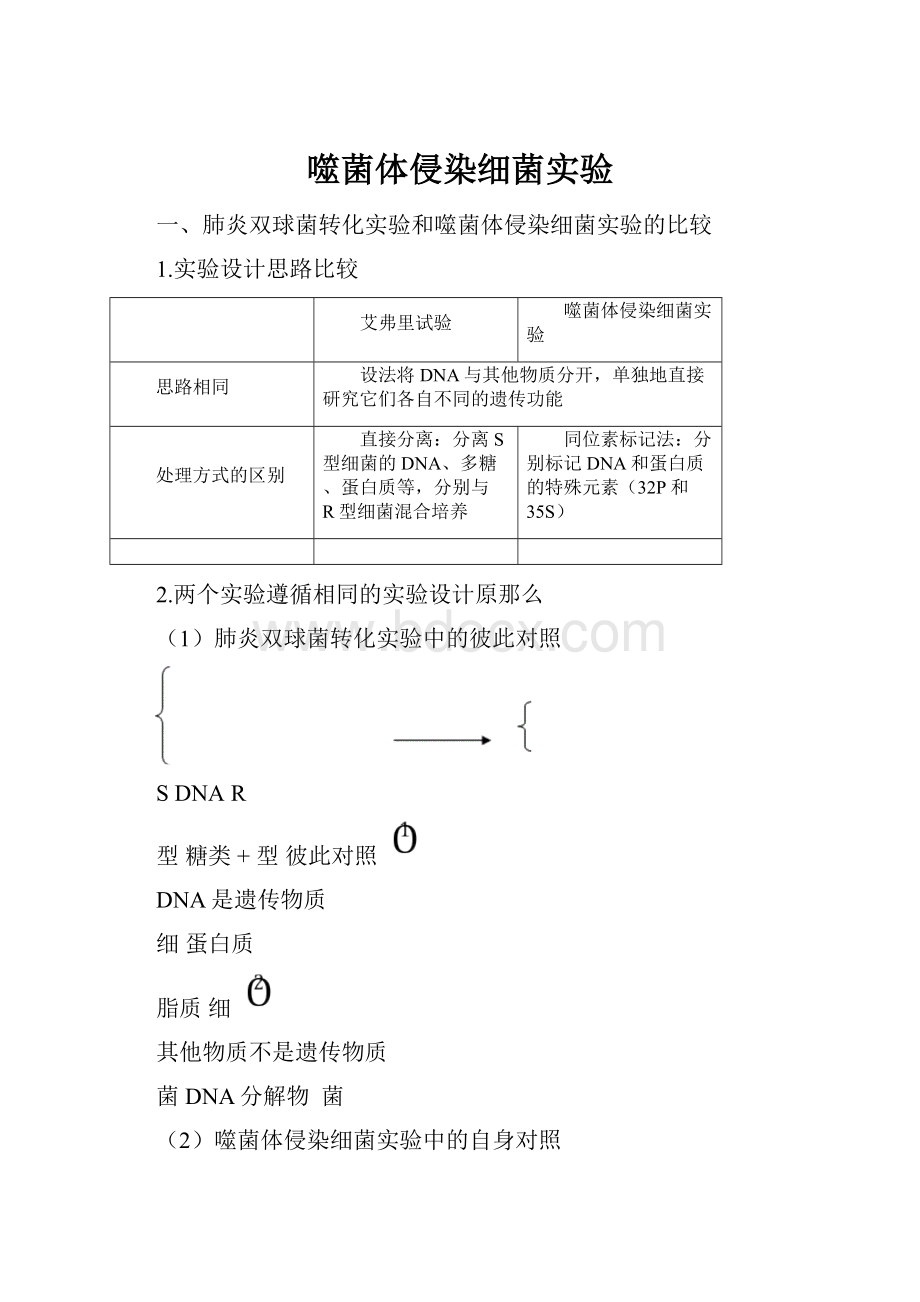 噬菌体侵染细菌实验.docx