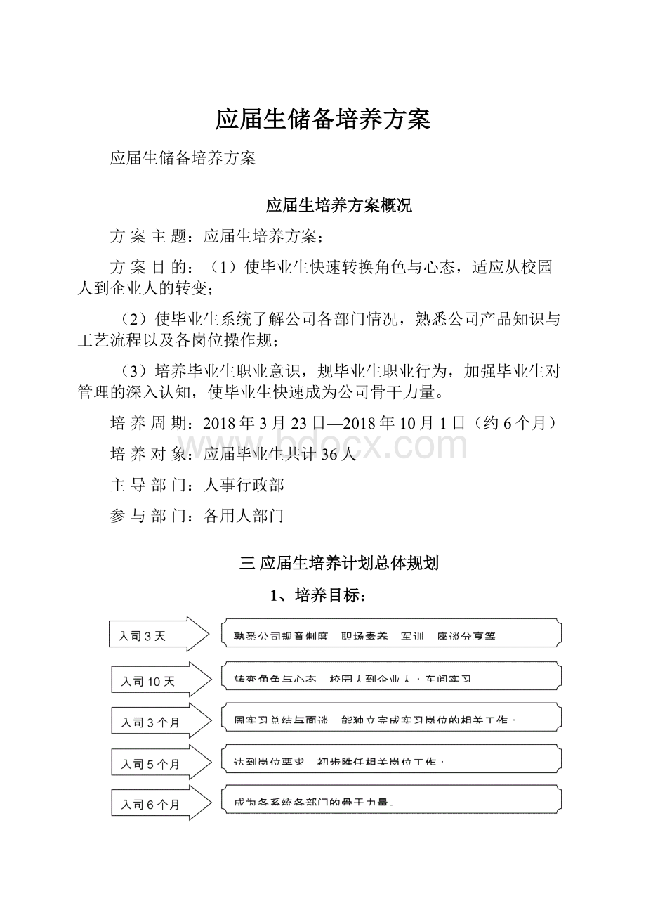 应届生储备培养方案.docx_第1页