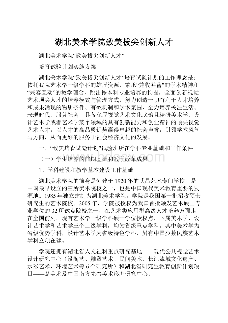 湖北美术学院致美拔尖创新人才.docx