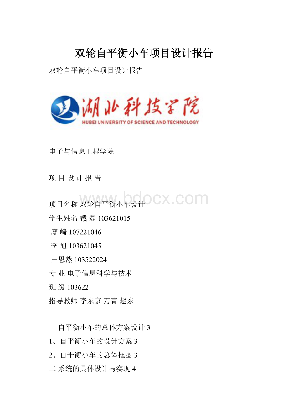 双轮自平衡小车项目设计报告.docx