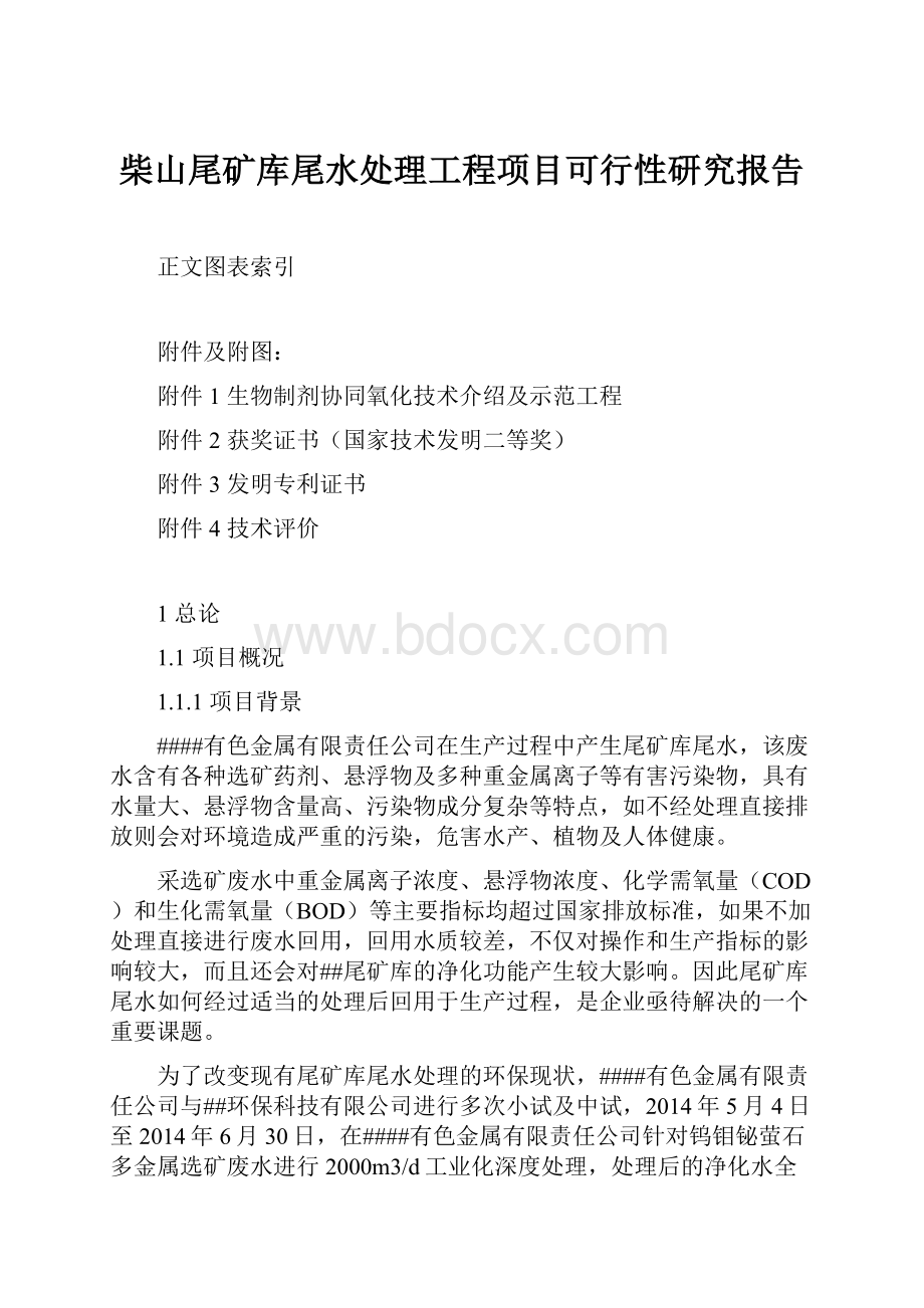 柴山尾矿库尾水处理工程项目可行性研究报告.docx