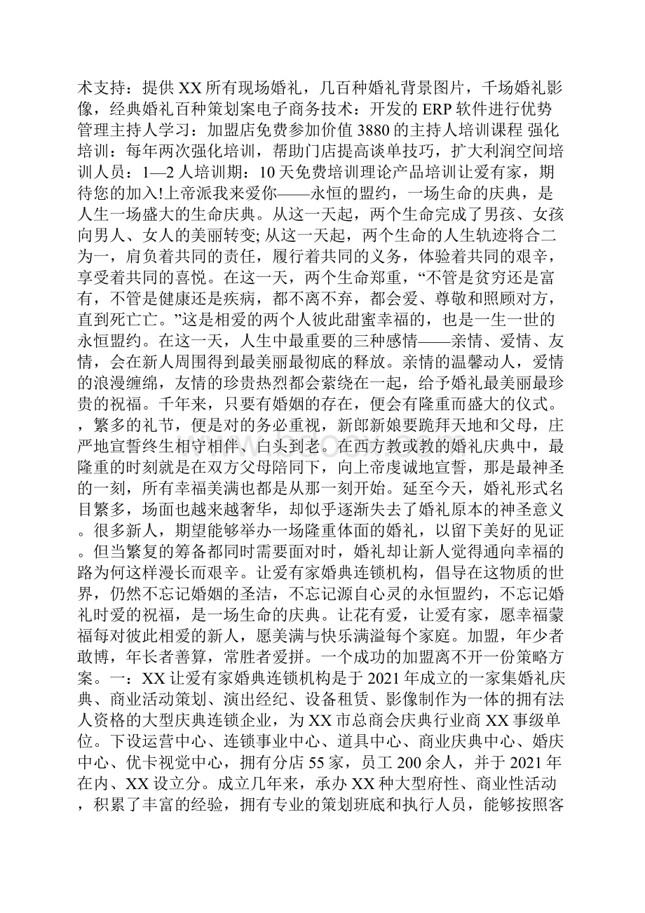 品牌加盟策略方案doc.docx_第2页